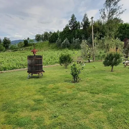 Quinta Do Morgado * カベセイラス・デ・バスト